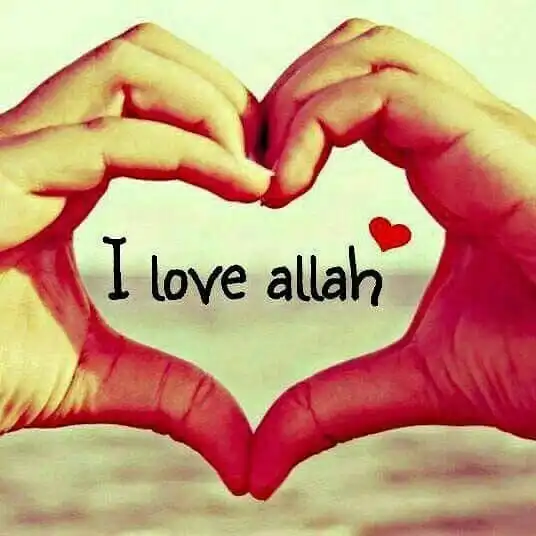 i love allah girl dp i love allah girl dp